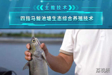 四指马鲅池塘生态综合养殖