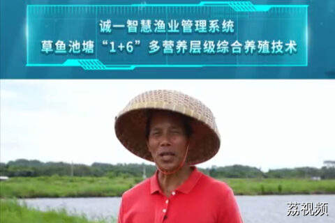 一个池塘中竟养着7种不同的鱼？