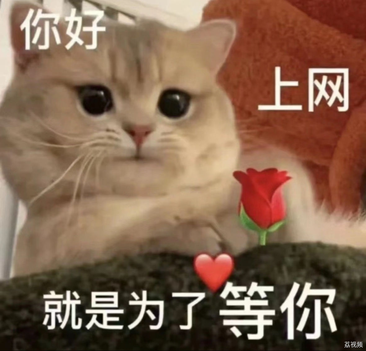 2025收官之战！最后一波offer狂潮来袭！