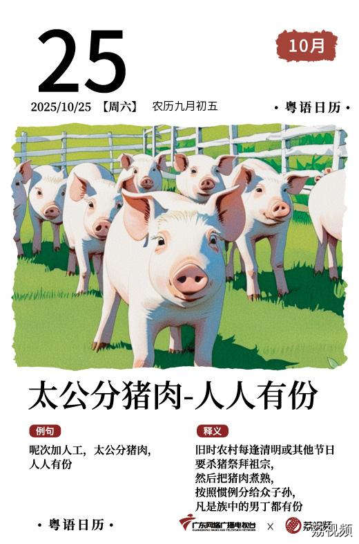 【粤语日历】2025年10月25日：太公分猪肉，人人有份