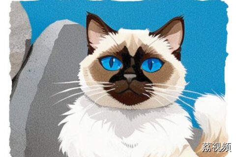 【粤语日历】2025年11月9日：老鼠揾猫，
攞嚟衰