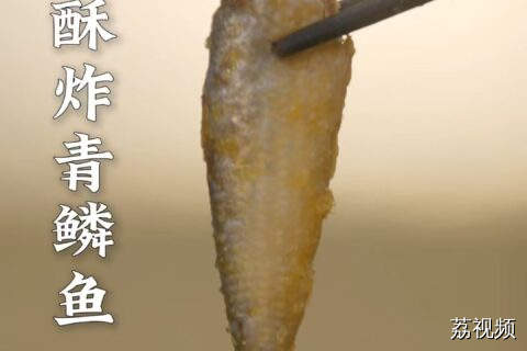 青鳞鱼炸着吃，又酥又鲜刚刚好。#老广的味道 #纪录片