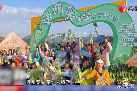 2025连州菜心旅游季开启 现场体验“从田间到舌尖”
