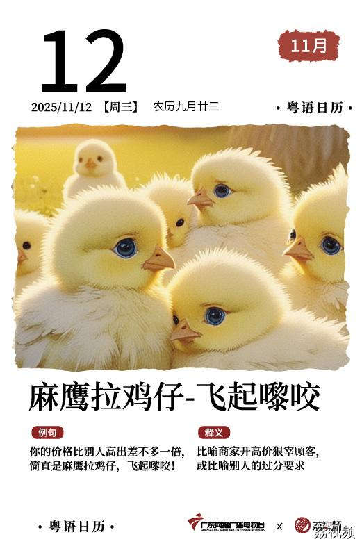 【粤语日历】2025年11月12日：麻鹰捉鸡仔，
飞起嚟咬