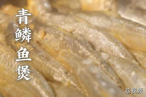用最简单的方法把青鳞鱼做得鲜甜。#老广的味道 #纪录片