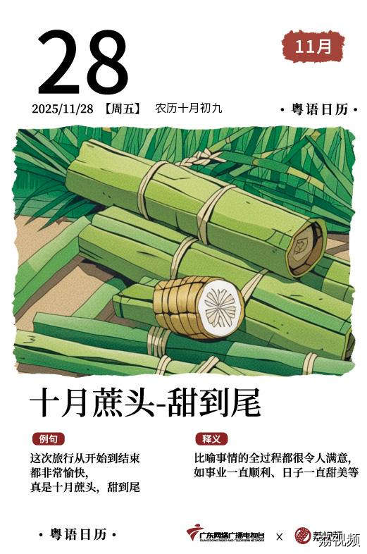 【粤语日历】2025年11月28日：十月蔗头，
甜到尾