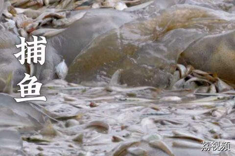 有了"神器“加持，钓鱼从此变得容易。#老广的味道