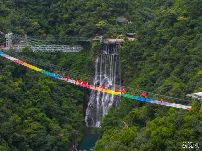 连州菜心迎丰收金灿产值实“出圈”