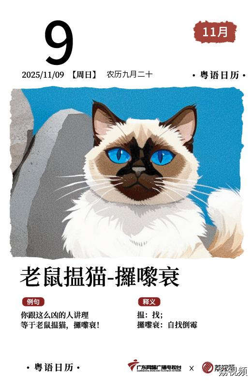 【粤语日历】2025年11月9日：老鼠揾猫，
攞嚟衰
