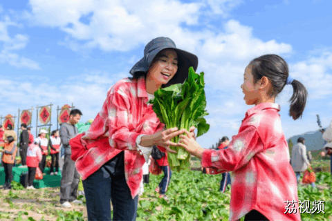 连州菜心迎丰收金灿产值实“出圈”
