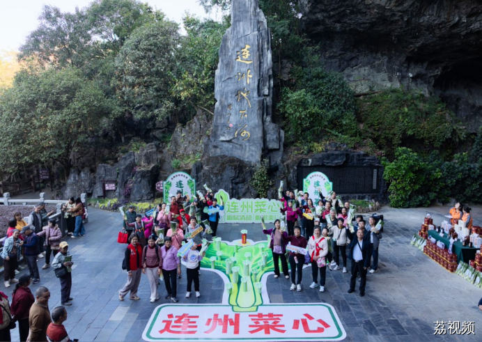 连州菜心迎丰收金灿产值实“出圈”