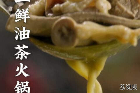 微苦的油茶作为汤底刚好中和了猪三鲜的“猪味”，发明此吃法的人吃商极高~ #老广的味道 #纪录片 #美食教程