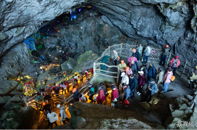 连州菜心迎丰收金灿产值实“出圈”