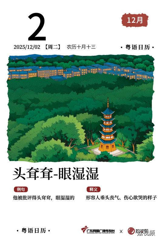 【粤语日历】2025年12月2日：头耷耷，眼湿湿