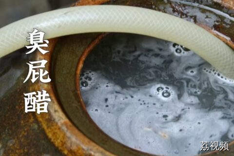 比螺蛳粉还上头！有人说它像一辆生锈的拖拉机碾过鼻子的味道……#老广的味道 #纪录片 #美食教程