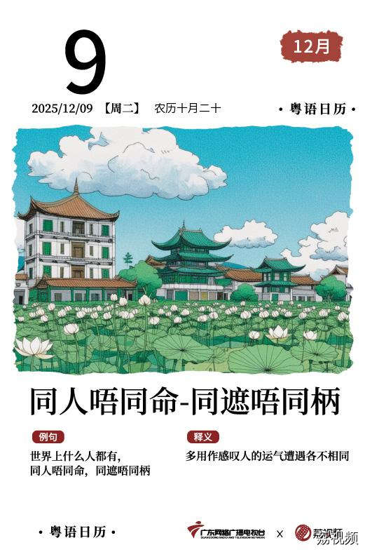 【粤语日历】2025年12月9日：同人唔同命，同遮唔同柄