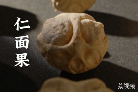 这个奇怪的果实居然长着和人一样的五官？#老广的味道 #纪录片 #家常菜