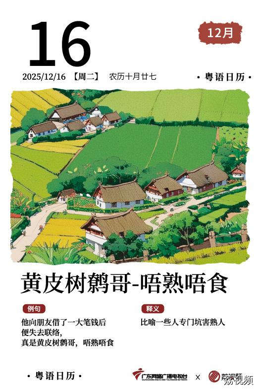 【粤语日历】2025年12月16日：黄皮树鹩哥，唔熟唔食