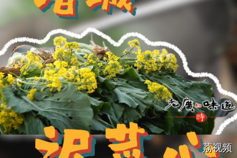 不知道，菜的身材很曼妙。半米长大高个，霜冻后甜度翻倍，茎肥叶厚、清甜少渣。白灼锁鲜、腊肉爆炒、上汤慢煨皆绝，自带浓郁清香。#老广的味道 #纪录片 #家常菜 #电视剧 #解说