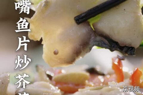 这个活化石居然把自己进化的这么完美！#老广的味道 #纪录片