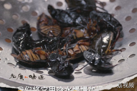 遇上很难入味的虫子就不吃了？别小瞧老广的厨艺！#老广的味道 #猎奇 #纪录片 #猎奇美食 #电视剧