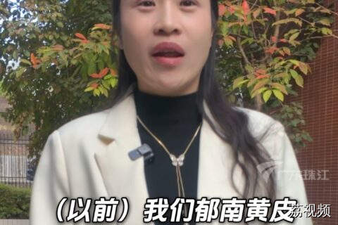 路宽了！乡村美了！文化兴了…云浮新农人细数家乡变化