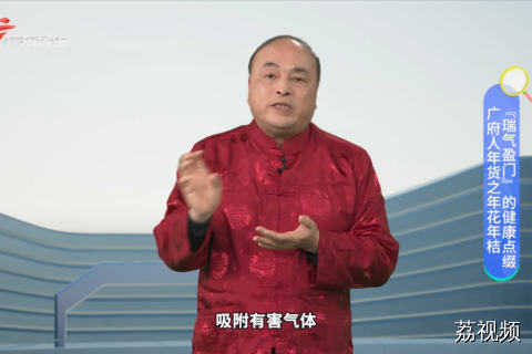 广府人年货之年花年桔 “瑞气盈门”的健康点缀