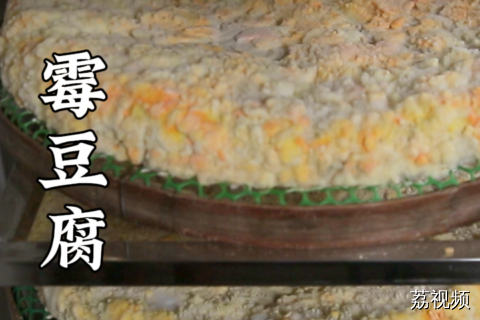 霉豆腐都是怎么生产出来的？#老广的味道 #纪录片 #家常菜