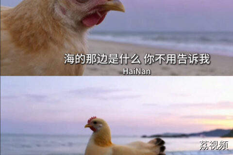 初一吃到元宵，白切鸡 豉油鸡 焖鸡……你们吃了几天鸡？ #老广的味道 #纪录片 #抽象