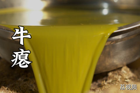 牛瘪平时臭臭苦苦，这样烹饪竟能让人上瘾无比？#猎奇 #广西美食 #美食教程