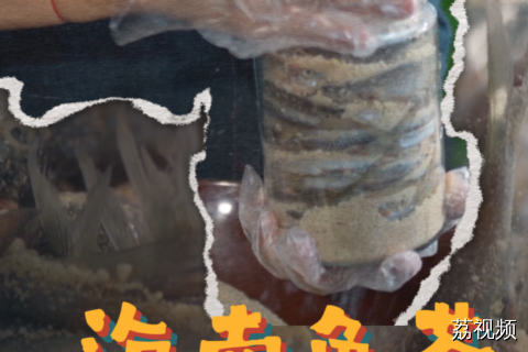 有没有哪个勇士两个都尝过的？鲱鱼罐头和鱼茶哪个更臭？#纪录片 #老广的味道 #家常菜