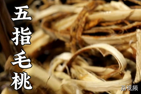 五指毛桃煲泥鳅汤，这个季节喝再好不过了。#老广的味道 #纪录片 #家常菜