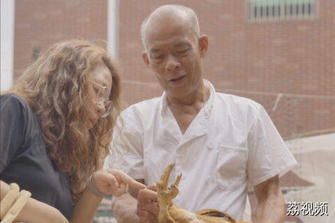 莫氏鸡煲一天消耗几百只鸡，鸡哪来的？#莫氏鸡煲 #顺德 辟谣！温氏送来的不是冰鲜鸡哈！