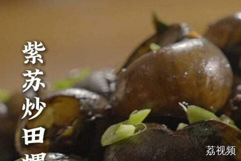 这个时候就应该吃田螺啦~#老广的味道 #纪录片 #家常菜