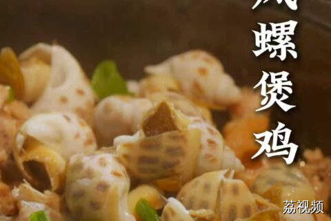 所有湛江人！保持平台不动！不要打开橙色或某袋鼠软件！#老广的味道 #家常菜 #纪录片 湛江美食