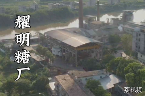 五一不放假！让我们为化州和耀明糖厂点赞！#老广的味道 #化州 #化州糖厂 #