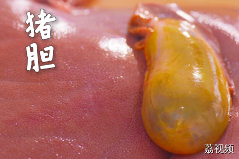 猪胆竟然能入菜？广东客家人这波操作，外地人看了直挠头……#老广的味道 #纪录片 #客家美食 #