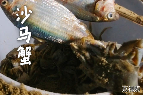 抓沙马蟹还有邪修？ #老广的味道 #纪录片 #阳江美食 #