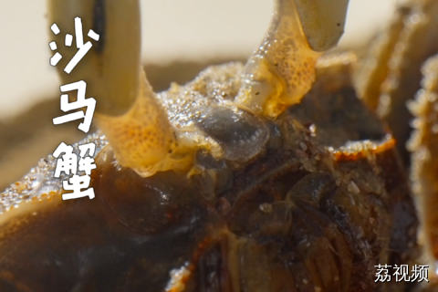 阳江沙滩上那些跑得贼快的小东西，到底怎么抓才不至于两手空空？ #老广的味道 #纪录片 #阳江美食 #