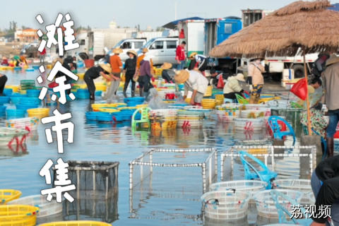 渔船靠岸即开吃，湛江这个滩涂市集，究竟藏着多鲜的滋味？ #老广的味道 #纪录片 #湛江美食 #