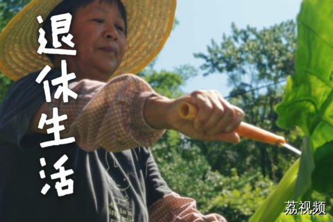 看完这个视频真想原地退休，开玩笑的，不看视频也想。#老广的味道 #纪录片 #客家美食 #