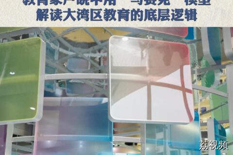 教育家卢晓中用“马赛克”模型解读大湾区教育的底层逻辑