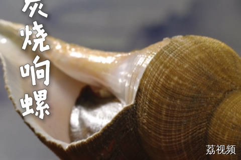 传闻能胜过鲍参翅肚的顶级海味，竟然是一只海螺？#老广的味道 #纪录片 #家常菜 。
