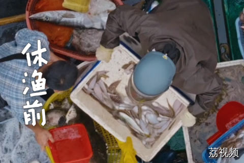 休渔前的海鲜市场到底有多热闹？我最爱的砍价环节又来啦~#鲜味中国 #秋日就好这口鲜 #广东海鲜根本吃不腻 #老广的味道 .