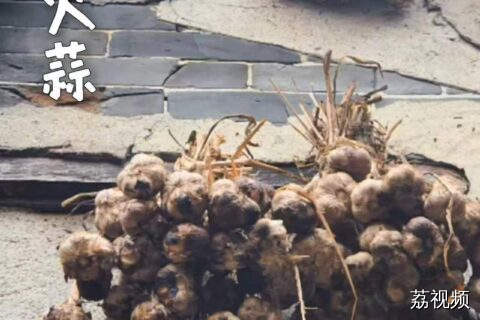 你家有多久没用火蒜做菜了？#老广的味道 #纪录片 #广东美食 。