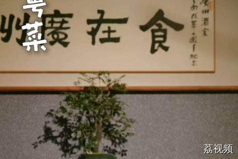 广东那么多好吃的城市，为什么偏偏“食在广州”？#老广的味道 #纪录片 #广东美食 。